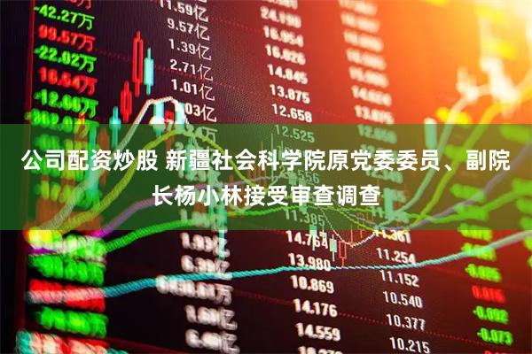 公司配资炒股 新疆社会科学院原党委委员、副院长杨小林接受审查调查